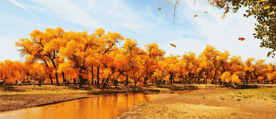 t01d5fd26c209394fe6.gif